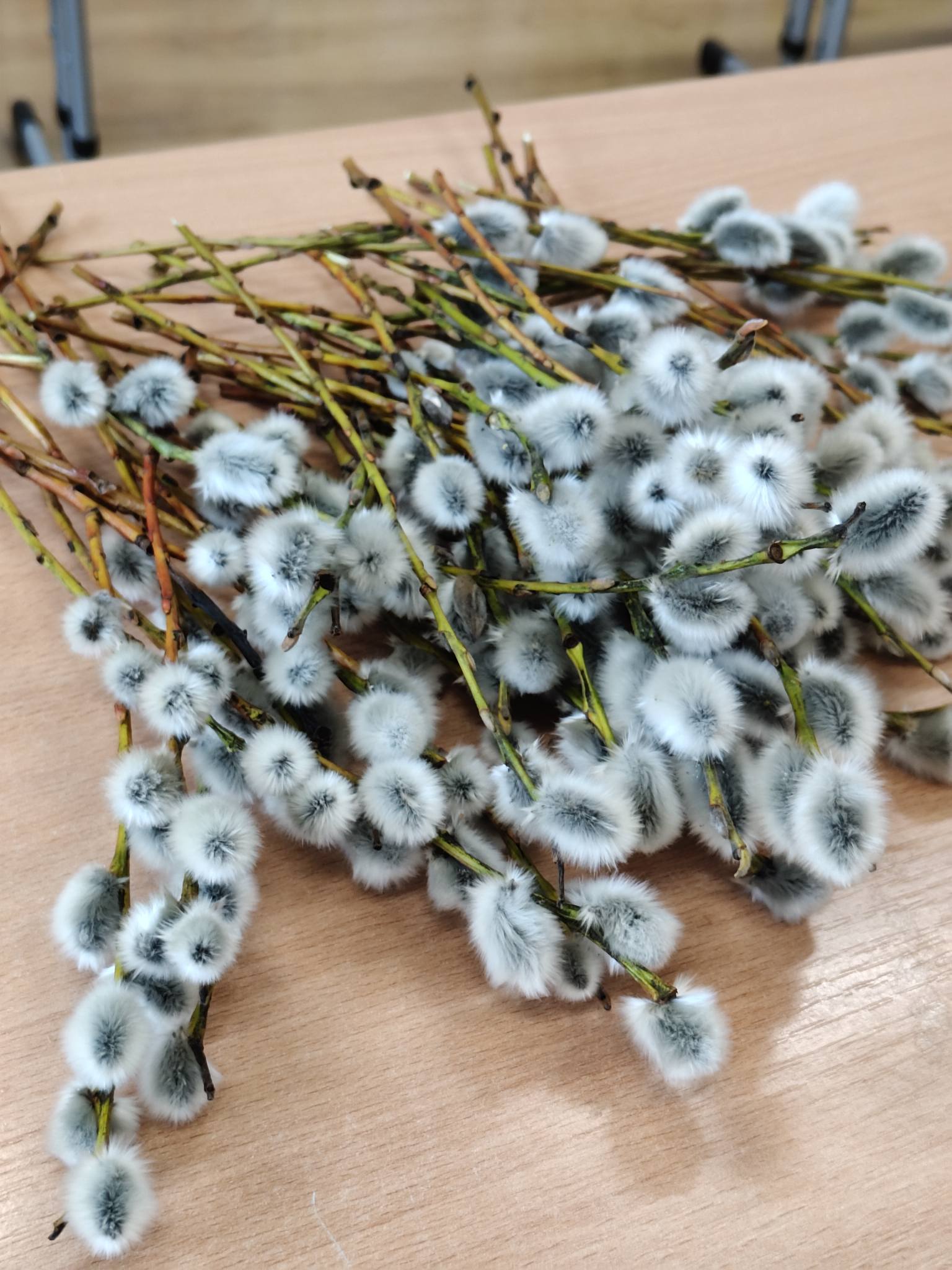 Uczennice klasy 2 wzięły udział w wyjątkowych warsztatach tworzenia palm wielkanocnych5